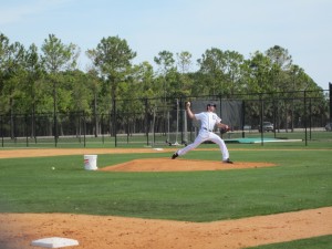 Fister pitching